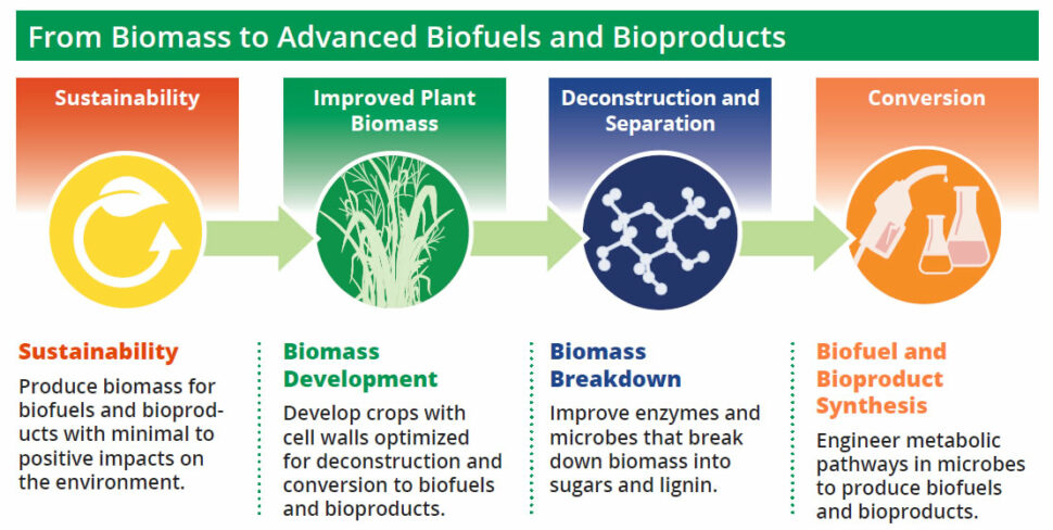 diagram biomass to biofuels and bioproducts