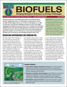 Biofuels flyer cover