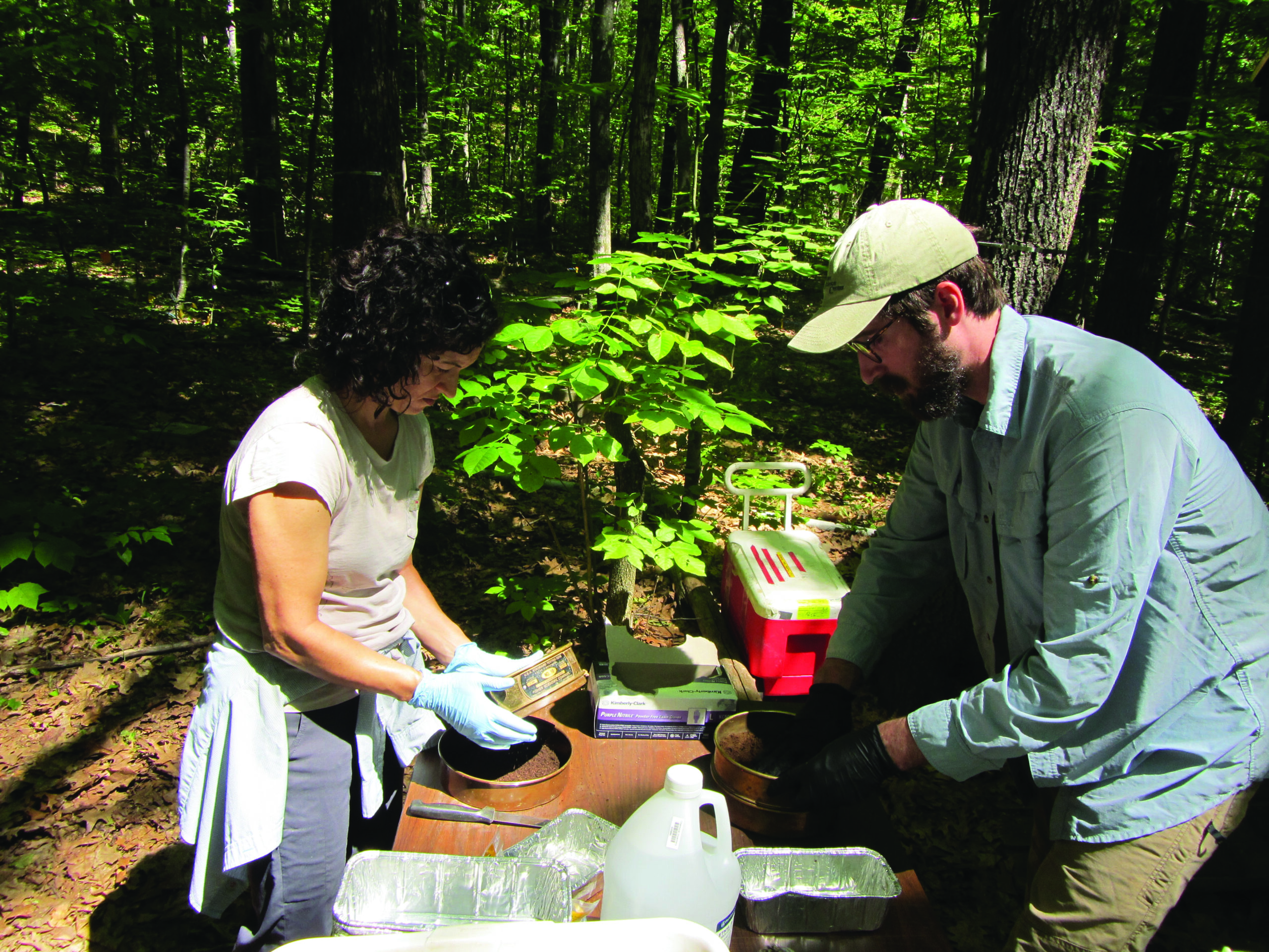 photo soil researchers in the forest