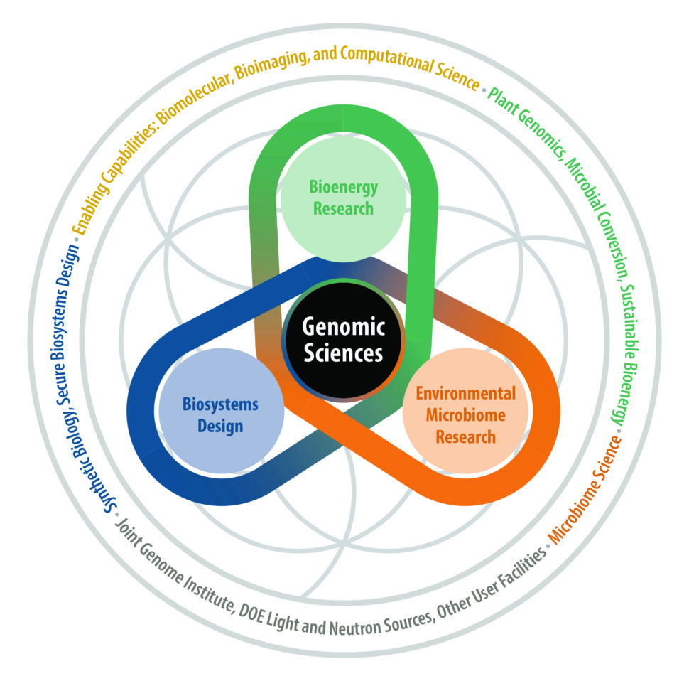 diagram: BER's Biological Systems Science Division Multidisciplinary Portfolio
