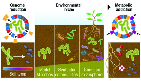 diagram: Persistence Control of Engineered Functions in Complex Soil Microbiomes