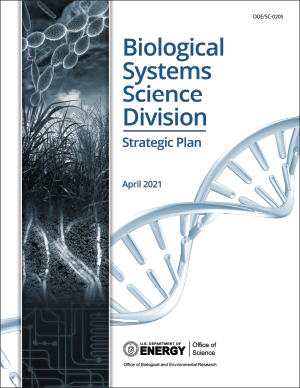 cover BSSD Strategic plan