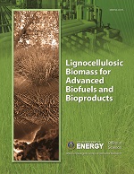 lignocellulosic biomass report cover