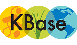 KBase logo