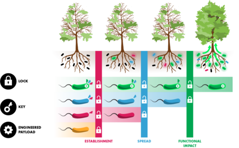 Ecosystem engineering diagram