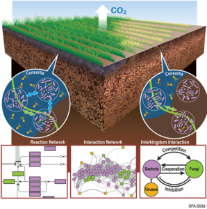 Soil Microbiome.
