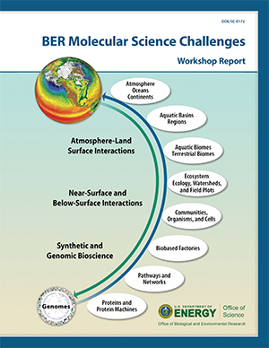 BER Molecular Science Challenges