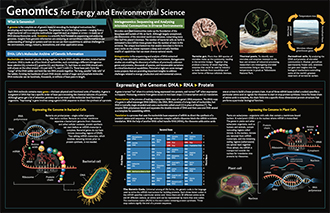 Genomics for Energy and Environmental Science Placemat