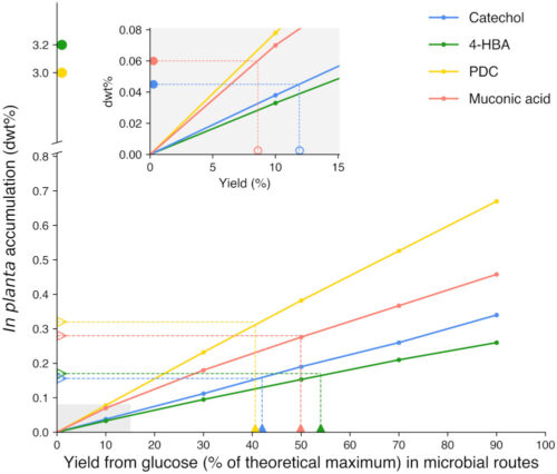 Comparison of minimum selling prices ($/kg) between in planta accumulation and microbial routes to bioproducts