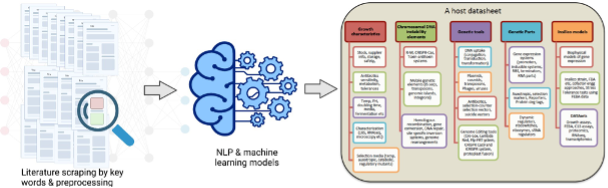 Overview of literature mining with natural language processing and machine learning models.