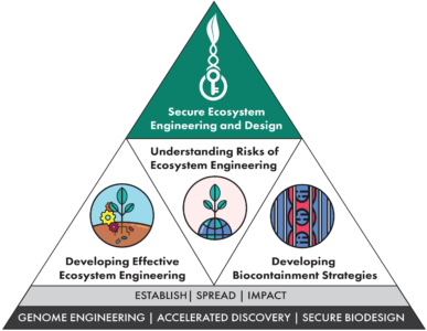 Diagram of a triangle with Secure Ecosystem Engineering and Design on top. Lower levels are developing effective ecosystem engineering, understanding risk of ecosystem engineering, and developing biocontainment strategies