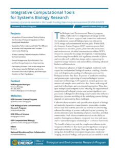 Integrative Computational Tools for Systems Biology Research flier