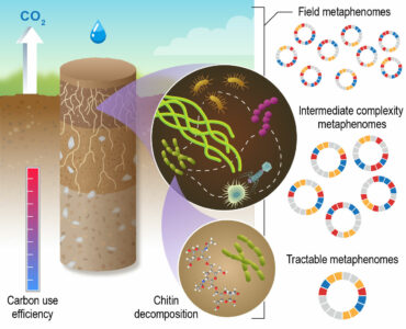 Illustration of soil microbiome, with focus on carbon use efficiency, chitin decomposition, and various types of metaphenomes.
