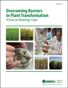 Cover of report with title Overcoming Barriers in Plant Transformation: A Focus on Bioenergy Crops